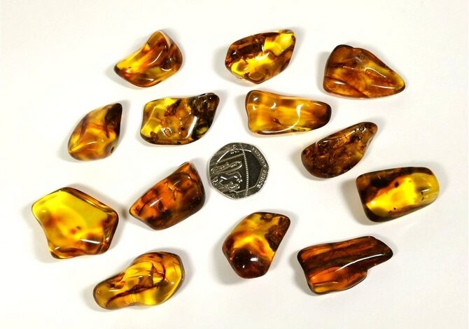 Amber-The-Timeless-Gem-of-Natures-Beauty Amber-The-Timeless-Gem-of-Natures-Beauty